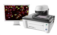 Automated Microscope Offers up to 100x Magnification