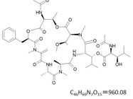 YM-254890