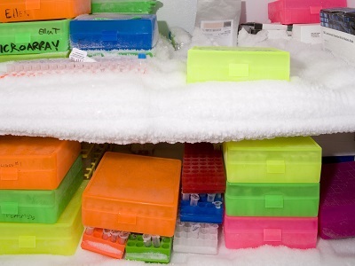 Maintenance and Care of ULT Freezers