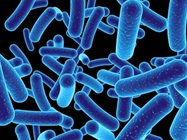What Are Emerging Contaminants and Why Are We Concerned?