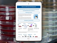 Infographic: Intro to Cell Line Development