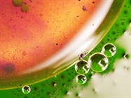 Monitoring of Heavy Metals in Drinking Water