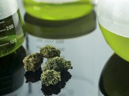 Cannabis Quality Conference & Expo