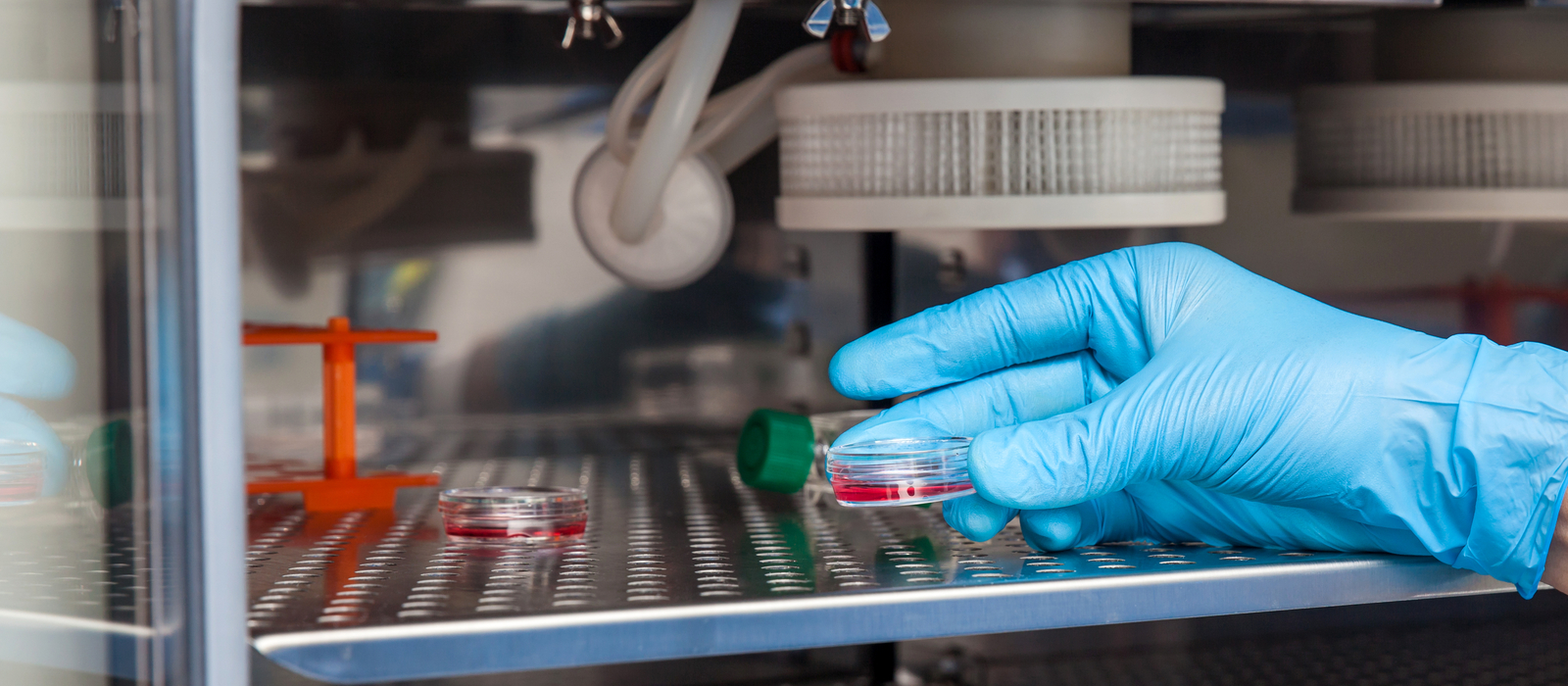 Best Practices for CO2 Incubator Maintenance