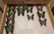  The Science of a Lab Relocation