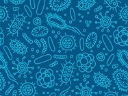 Cutting Down Contamination in Incubators