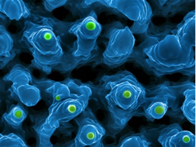 3 Key Developments in Atomic Force Microscopy