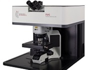 White Paper on Polarised Raman Spectroscopy