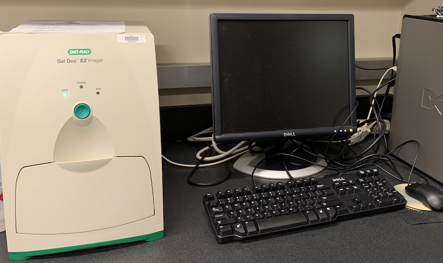 | Labcompare Product Review. A Great Instrument for Electrophoresis ...