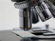 Anatomy of the Microscope - Objectives: Specifications and Identification