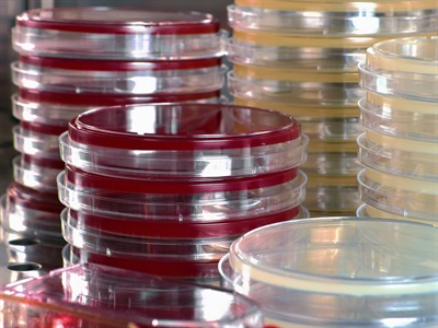 Cell Culture Features to Boost Efficiency and Application