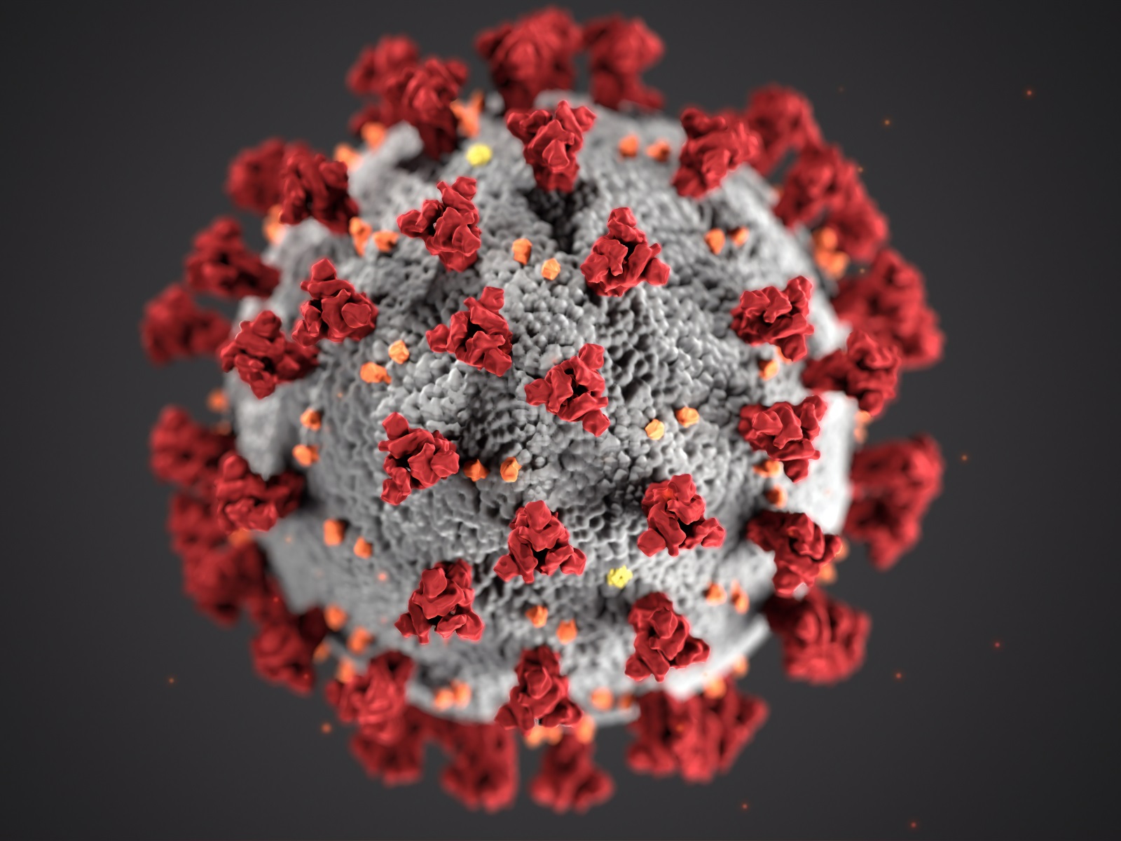  All-Hands-on-Deck Approach to Better SARS-CoV2 Testing