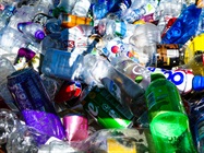 What Are We Eating? A Spotlight on the Microplastics in our Food