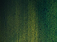 Using LIMS and AI to Optimize Crop Output to Feed a Growing Global Population