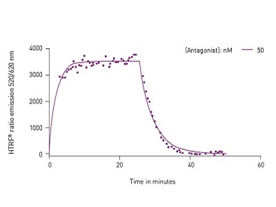 Screening ligand association and dissociation rates using a plate reader