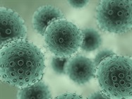 Safe Handling of Viruses in a Biosafety Cabinet