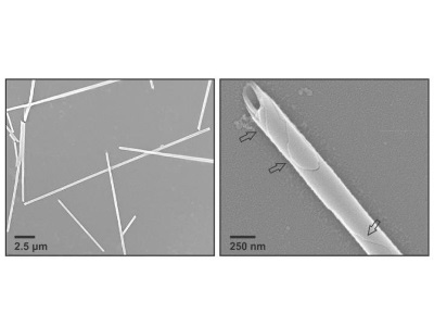 Nanomaterial with Biocompatible Design Set to Drug Delivery Systems