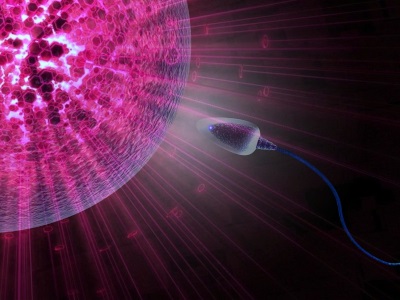 Epigenetic Biomarker on Sperm Cells Linked to Future Generation’s Autism