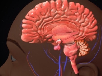 A Century Worth of Data Says COVID-19 Likely to Impact Brain Long-term