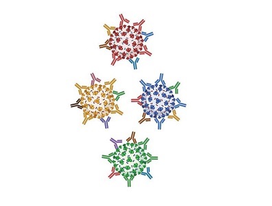Nanoparticle Immunization Technology Could Protect Against Many Strains of Coronaviruses