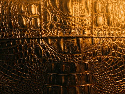 The Science of Heritage Preservation: Safeguarding Historical Parchment and Leather Artifact