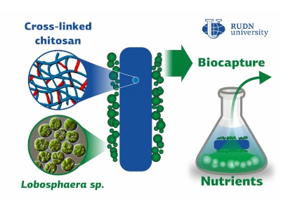 Nutrient Biocapture Technology Redefines Wastewater Collection
