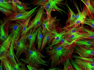 A Modern Approach to Cancer Diagnosis and Treatment