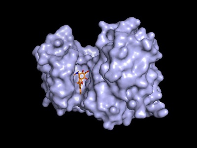 Repurposed Antibiotics to Replace Opioids