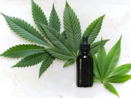  Increased Cannabis Withdrawal Symptoms in 12 Percent of Frequent Users