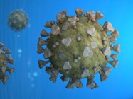 Using CRISPR to Inhibit COVID-19