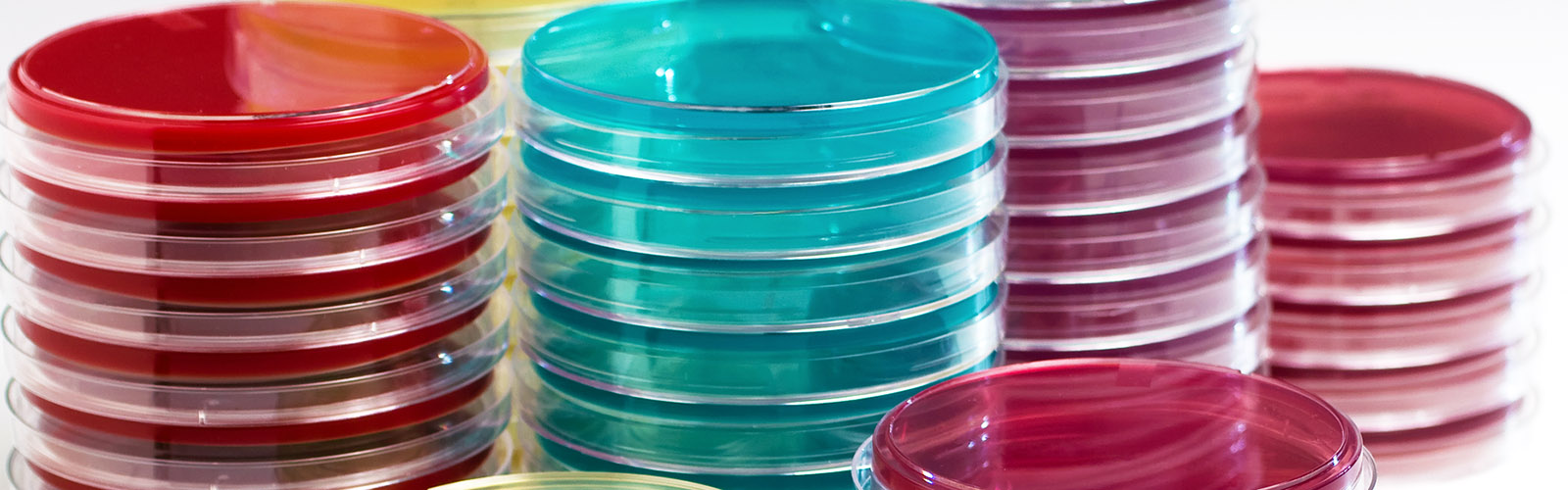 Essential Steps to Minimize Cell Culture Contamination