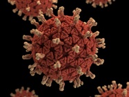 Lingering Immune Response Contributes to COVID-19 Blood Clots