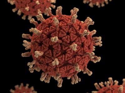 Lingering Immune Response Contributes to COVID-19 Blood Clots