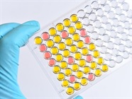 CBD Reduces the Effect of THC Psychosis