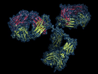 Monoclonal Antibody Treatment as a Gold Standard COVID-19 Treatment