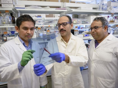 Anti-Inflammatory Protein is the Key to Improving Rheumatoid Arthritis
