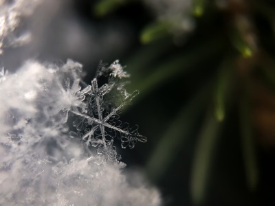 Monitoring Technology 2.0: Replacing Cold Storage Monitoring’s Fail and Fix Model with Predict and Prevent