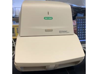 Amazing Real Time PCR System