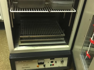 A Dual-Use Shaking Incubator