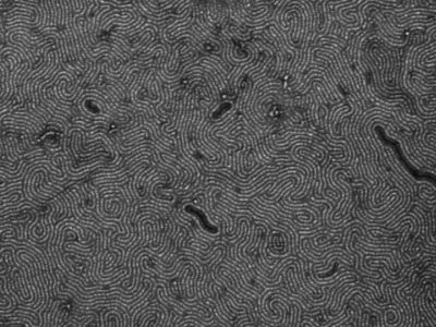 Flexible Nanoribbons Move Graphene Toward Use in Tech Applications