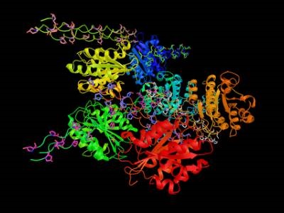 Rapid Glycan Analysis using High-Resolution Ion Mobility Mass Spectrometry