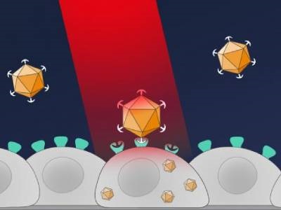 A Remote Control for Gene Transfer