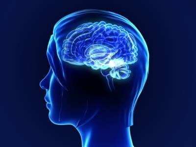 Alterations Detected in Amino Acid Profiles in Children With ADHD