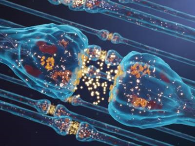 Saturated Fatty Acid Levels Increase During Memory Formation