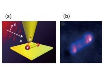 Photoinduced Force Field Mapped in Subnanometer Resolution