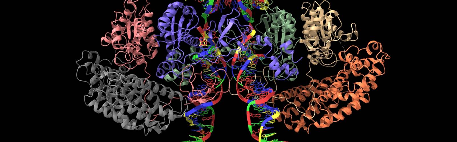  Uncovering the SARS-CoV-2 Protein Structure with Cryo-EM