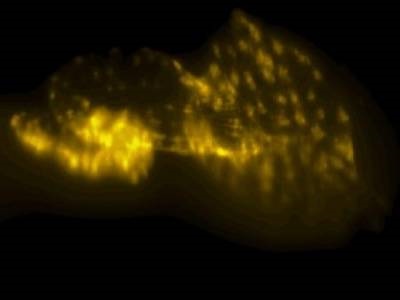 New Microscopy Technique Enables Real-time 3D Imaging
