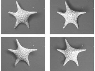 Integrated SEM Workflow Creates Powerful 'Nano-lab'