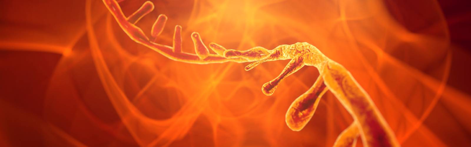  LABTips: RNA Extraction and Purification for COVID-19 Testing