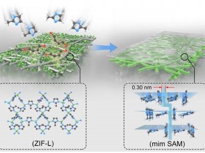  Zero-dimensional Molecular Sieve Membranes Enhance Separation Selectivity